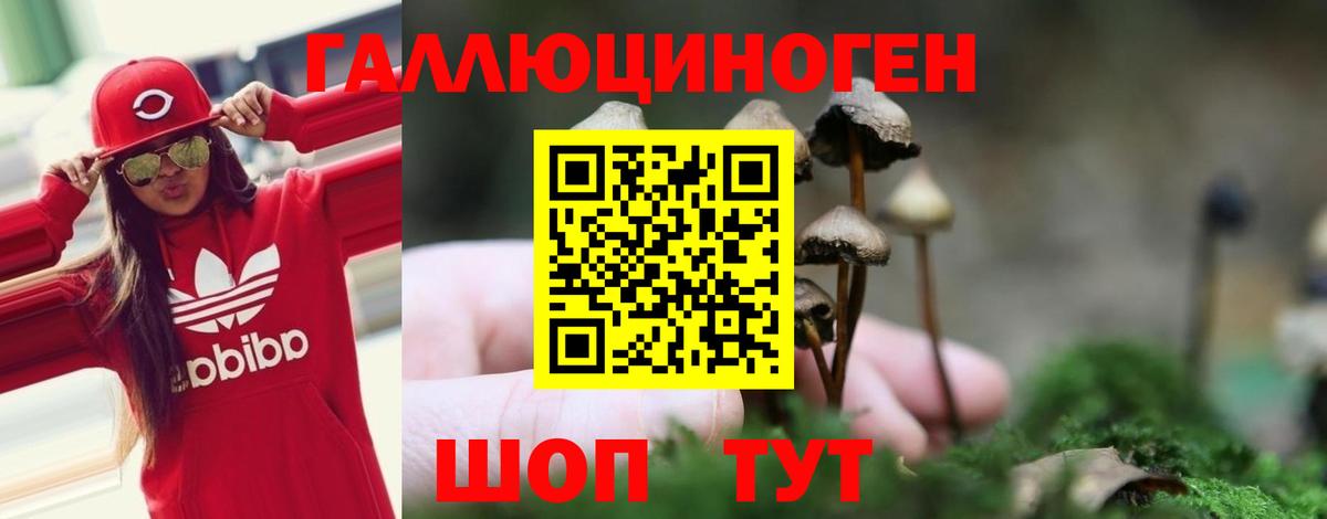 Верхняя Пышма  Галлюциногенные грибы Psilocybine cubensis  Вход с VPN  Галлюциногенные грибы GOLDEN TEACHER 